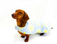 Load image into Gallery viewer, Sausage Dog Box Dachshund Designer Daisy Jacket Coat
