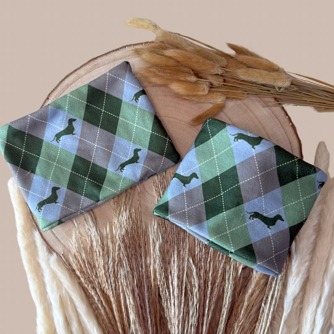 Blue Highland Argyle Dachshund Dog Snood