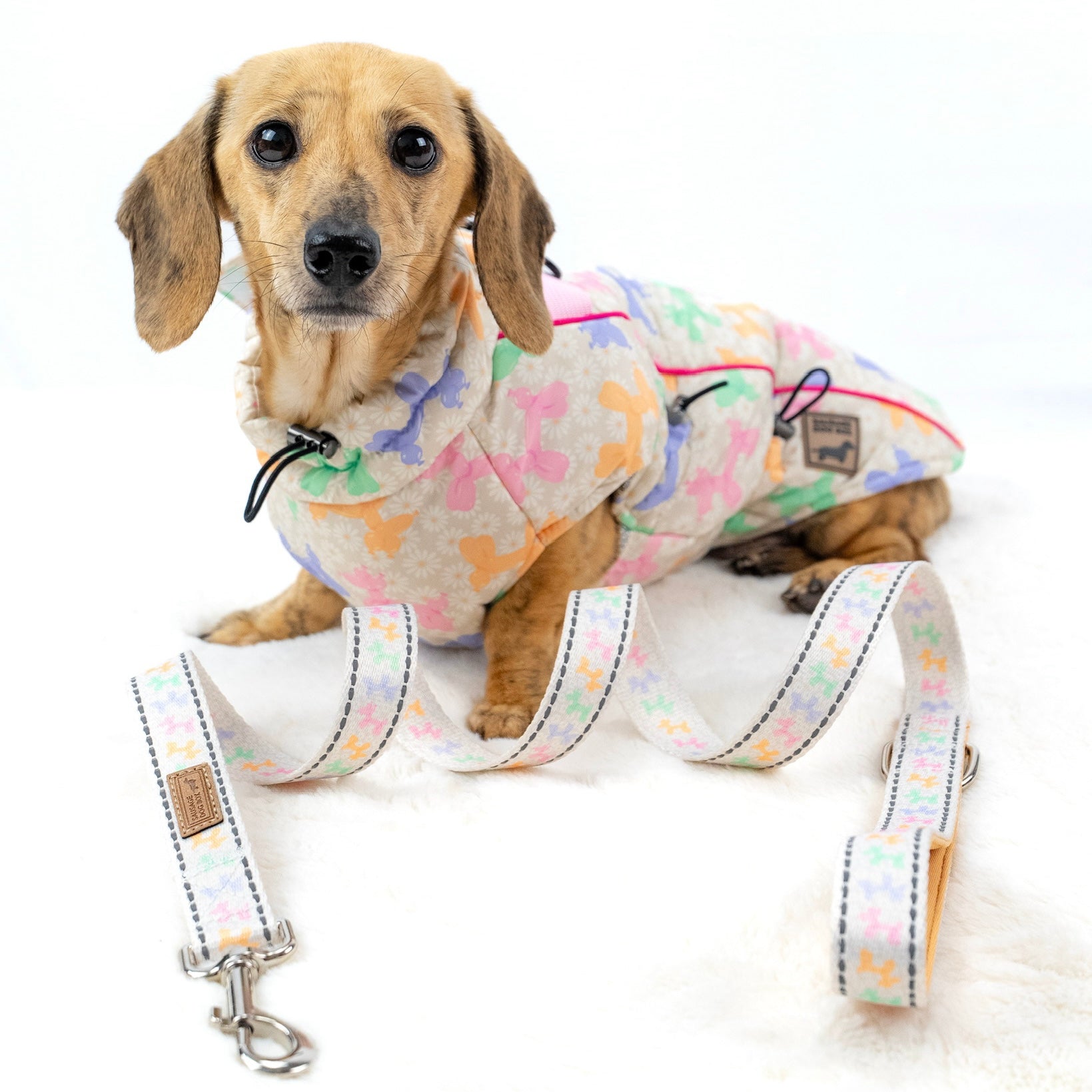 Daisy Balloon Thermal Dachshund Puffer Jacket Sausage Dog Harness Coat