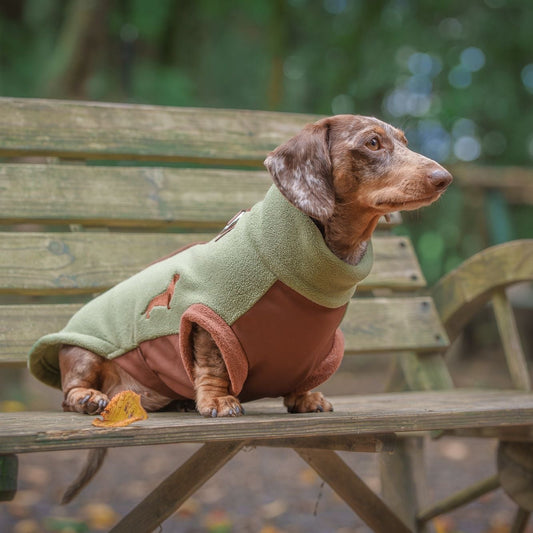 Dachshund wearing a green and brown DoxieDri waterproof fleece while sitting on a wooden bench