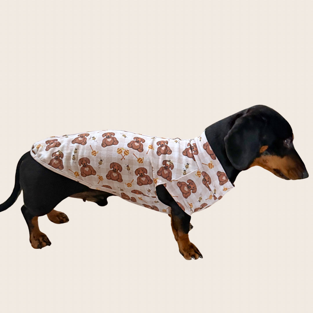 Side view of a dachshund wearing Honey Bear dachshund pyjamas.