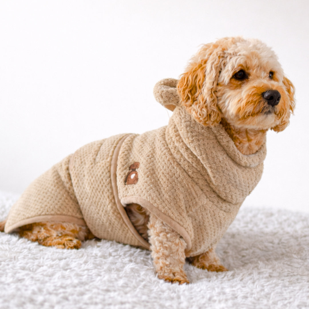 Cockapoo wearing the Hound Outfitters teddy dog drying robe