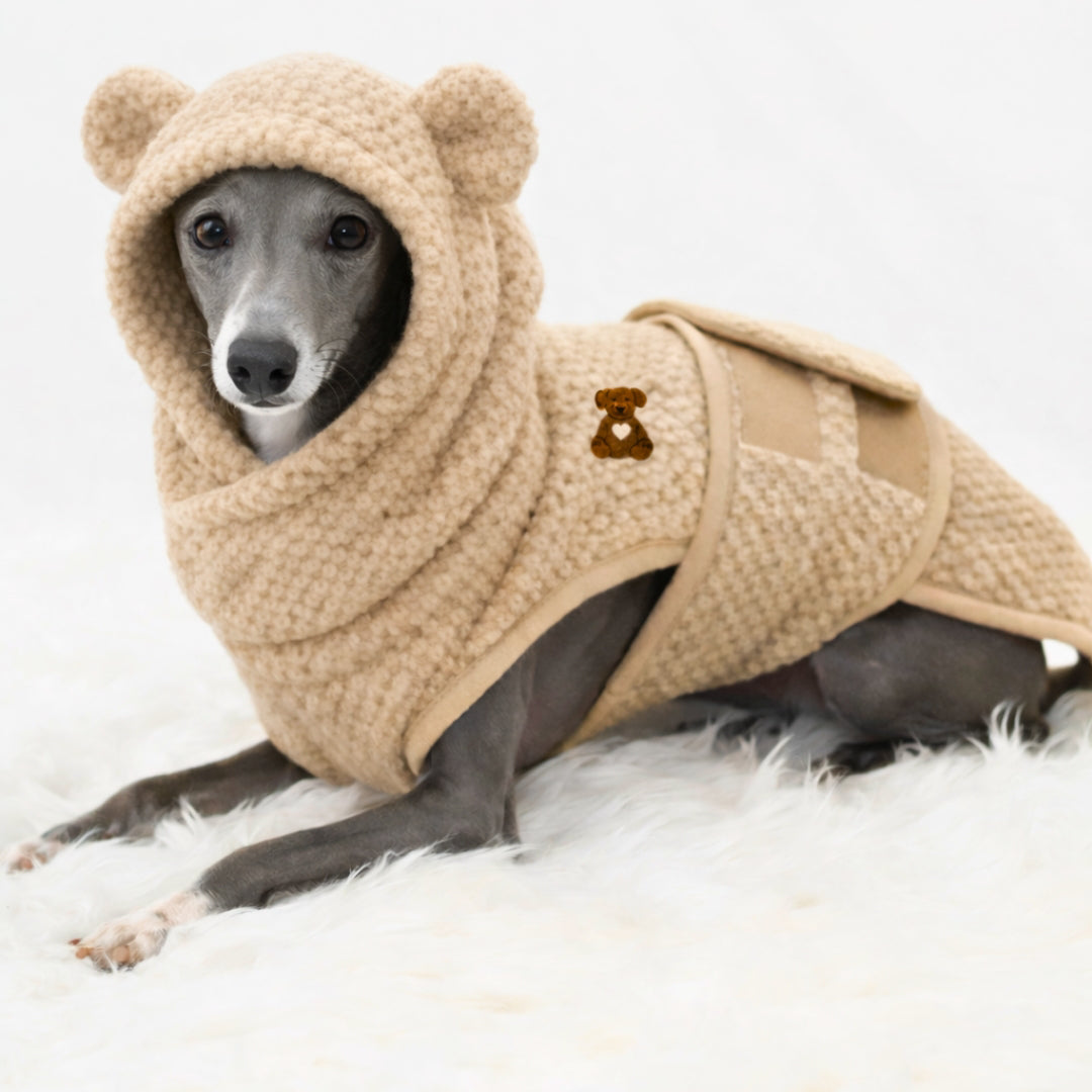 Italian Greyhound wearing a luxury bamboo teddy dog drying robe with hood