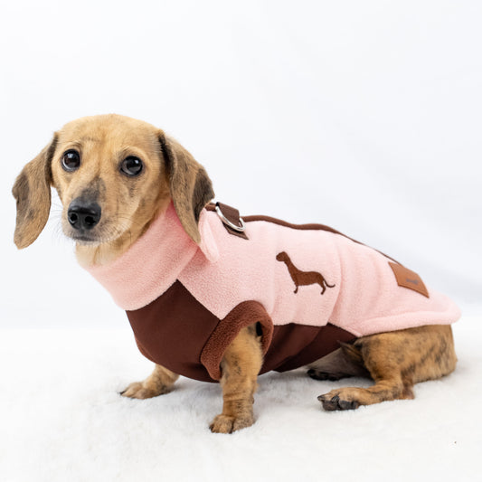 Dachshund wearing a pink and brown DoxieDri waterproof fleece designed for long backs and short legs