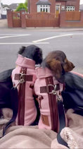 Load and play video in Gallery viewer, Walnut Whip Dachshund Harness Fleece | Waterproof Zip-Back Dog Fleece
