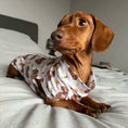 Load image into Gallery viewer, Pyjamas for dachshund dogs in honey bear design
