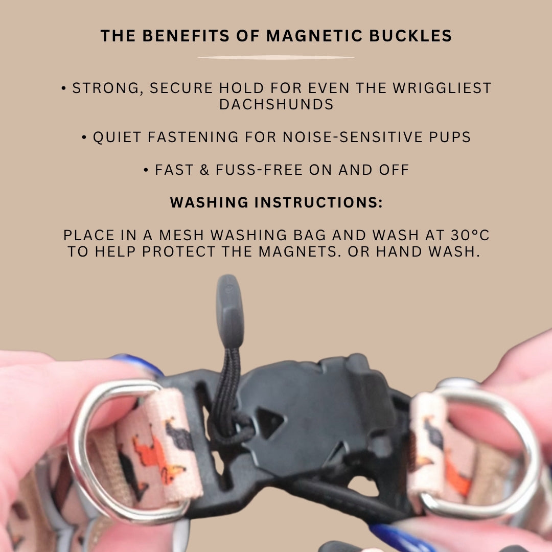 Opening and closing the StepMag magnetic harness buckle