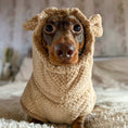 Load image into Gallery viewer, Close-up of the Teddy Bear DoxieRobe bamboo waffle fleece drying robe which features adorable hood with ears
