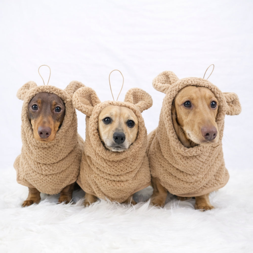Three dachshunds wearing Teddy Bear DoxieRobe bamboo drying robes designed for long dogs, doxies, teckels and daxies
