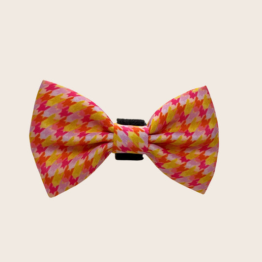 Tutti Fruitti dachshund bow tie with colourful houndstooth design