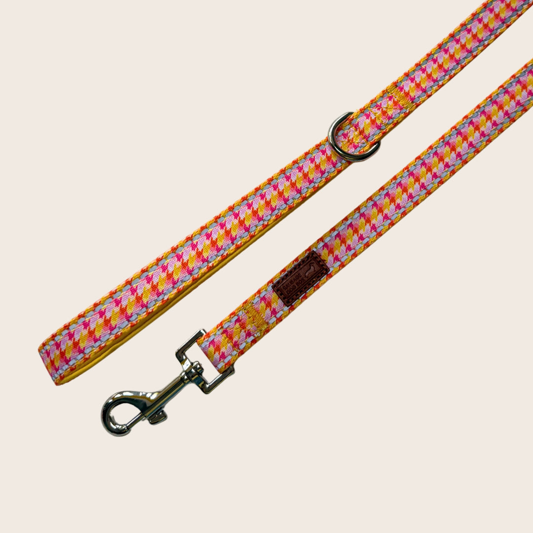 Tutti Fruitti reflective dachshund lead with colourful houndstooth design
