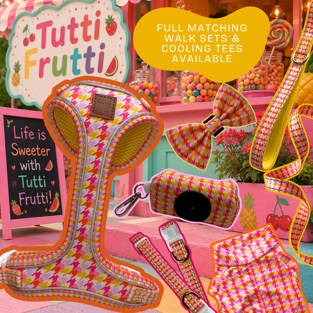 Tutti Fruitti DoxieCool dachshund cooling vest full collection for sausage dogs