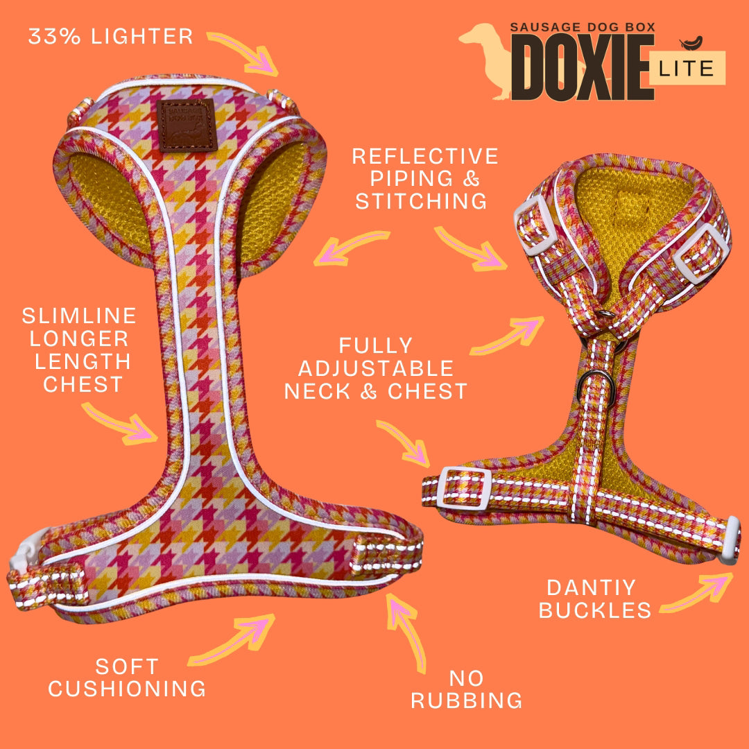 DoxieLite dachshund harness feature guide showing lightweight anti-rub design