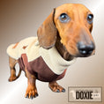 Load image into Gallery viewer, Front view of a miniature dachshund wearing the Walnut Whip DoxieDri waterproof harness fleece
