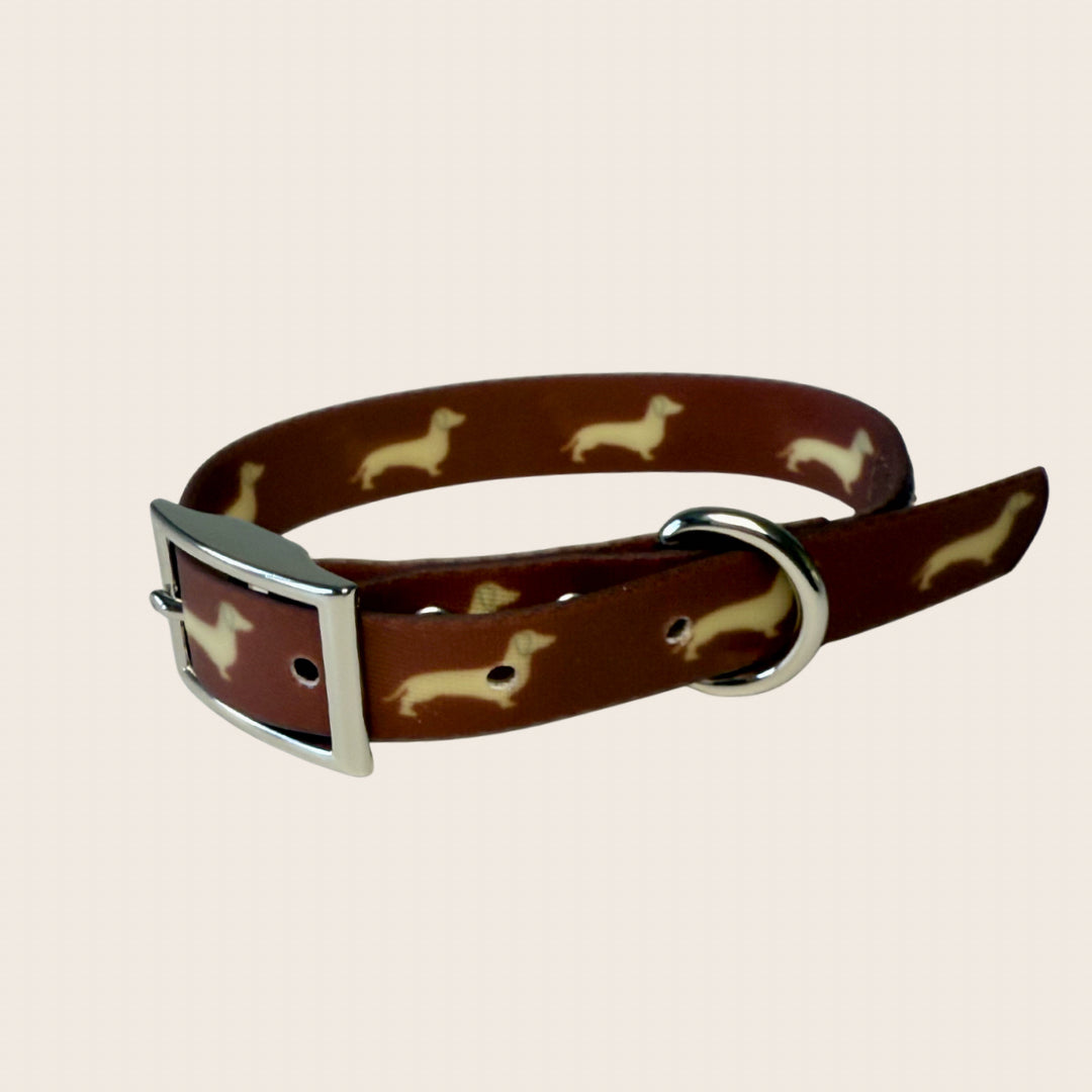 DoxieFlex waterproof Biothane dachshund collar with adjustable buckle.
